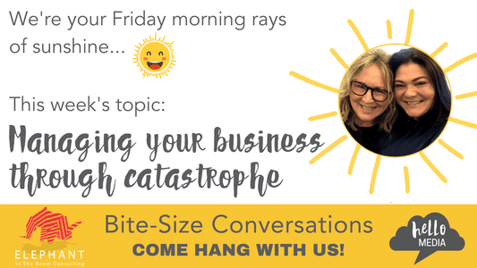 HELLO MEDIA BITE SIZE CONVERSATIONS MANAGING YOUR BUSINESS THROUGH CATASTROPHE KYLIE MOWBRAY ALLEN