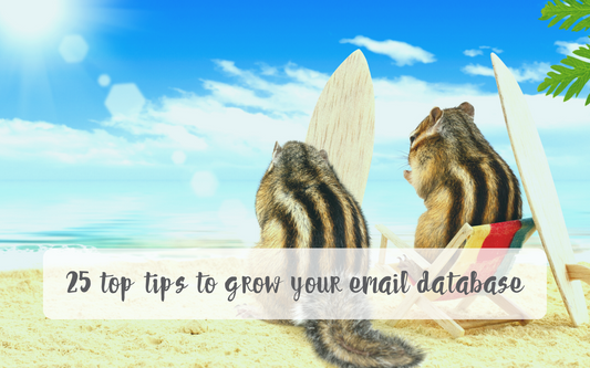 top tips to grow email database