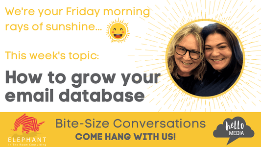 Hello Media Bite Size Conversation How to grow Email Data Base Kylie Mowbray Allen