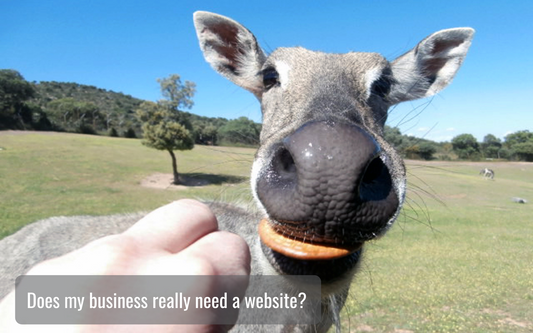 does my business really need a website?